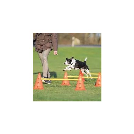 Trixie Sporting Obstacle Set - agility akadály (ugró akadály) kutyák részére (Ø23cm x 30/78cm)